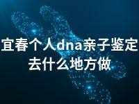 宜春个人dna亲子鉴定去什么地方做