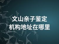 文山亲子鉴定机构地址在哪里