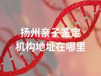 扬州亲子鉴定机构地址在哪里