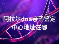 阿拉尔dna亲子鉴定中心地址在哪