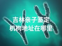 吉林亲子鉴定机构地址在哪里
