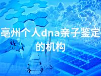亳州个人dna亲子鉴定的机构