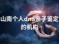山南个人dna亲子鉴定的机构