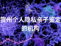 贺州个人隐私亲子鉴定的机构