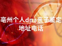 亳州个人dna亲子鉴定地址电话