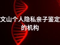 文山个人隐私亲子鉴定的机构