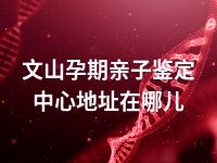 文山孕期亲子鉴定中心地址在哪儿