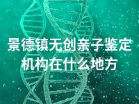 景德镇无创亲子鉴定机构在什么地方