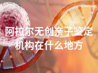 阿拉尔无创亲子鉴定机构在什么地方