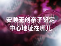 安顺无创亲子鉴定中心地址在哪儿