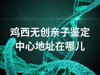 鸡西无创亲子鉴定中心地址在哪儿