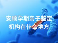 安顺孕期亲子鉴定机构在什么地方