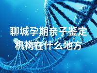 聊城孕期亲子鉴定机构在什么地方
