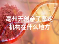 亳州无创亲子鉴定机构在什么地方