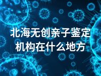 北海无创亲子鉴定机构在什么地方