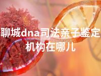 聊城dna司法亲子鉴定机构在哪儿