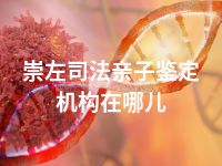 崇左司法亲子鉴定机构在哪儿