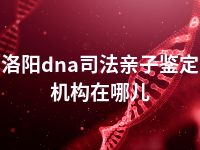 洛阳dna司法亲子鉴定机构在哪儿