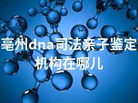 亳州dna司法亲子鉴定机构在哪儿