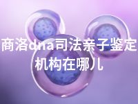 商洛dna司法亲子鉴定机构在哪儿