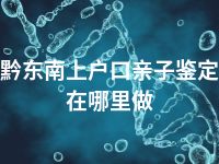黔东南上户口亲子鉴定在哪里做