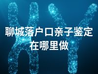 聊城落户口亲子鉴定在哪里做