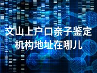 文山上户口亲子鉴定机构地址在哪儿