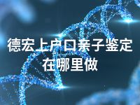 德宏上户口亲子鉴定在哪里做