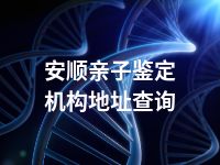 安顺亲子鉴定机构地址查询