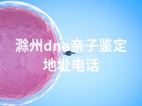 滁州dna亲子鉴定地址电话