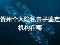 贺州个人隐私亲子鉴定机构在哪