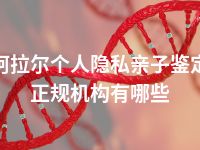 阿拉尔个人隐私亲子鉴定正规机构有哪些