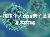 阿拉尔个人dna亲子鉴定机构在哪