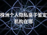株洲个人隐私亲子鉴定机构在哪
