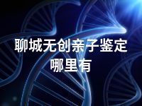 聊城无创亲子鉴定哪里有