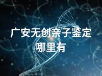 广安无创亲子鉴定哪里有