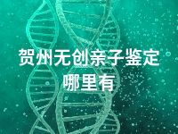 贺州无创亲子鉴定哪里有