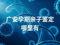 广安孕期亲子鉴定哪里有