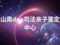 山南dna司法亲子鉴定中心