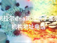 阿拉尔dna司法亲子鉴定机构地址电话
