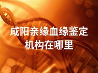 咸阳亲缘血缘鉴定机构在哪里