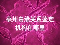 亳州亲缘关系鉴定机构在哪里