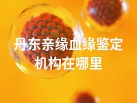 丹东亲缘血缘鉴定机构在哪里