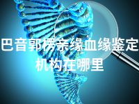 巴音郭楞亲缘血缘鉴定机构在哪里
