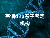芜湖dna亲子鉴定机构