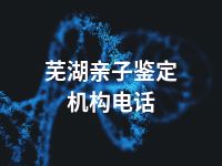 芜湖亲子鉴定机构电话