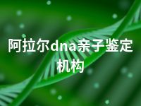 阿拉尔dna亲子鉴定机构