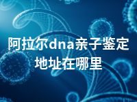 阿拉尔dna亲子鉴定地址在哪里
