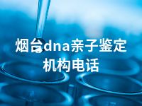 烟台dna亲子鉴定机构电话