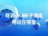 商洛dna亲子鉴定地址在哪里